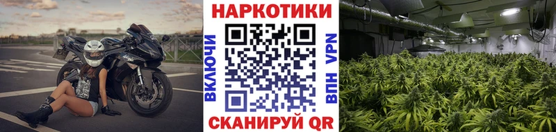 Псилоцибиновые грибы Закаменск