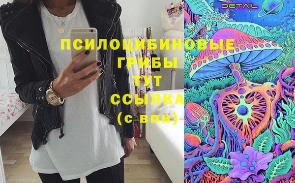 Альфа ПВП Горнозаводск