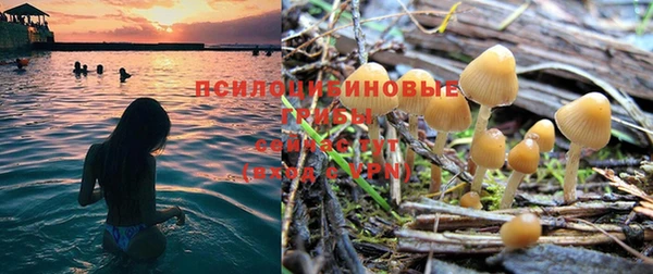 бутик Вяземский