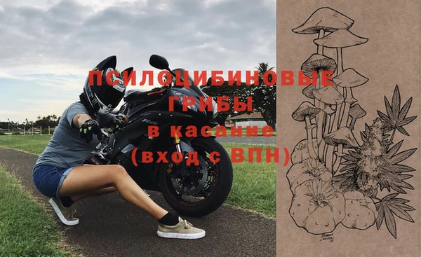 кокс Тайга