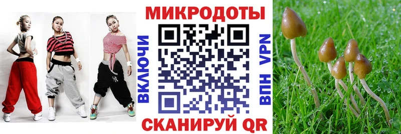 Псилоцибиновые грибы мухоморы  сайты даркнета Telegram  Закаменск 