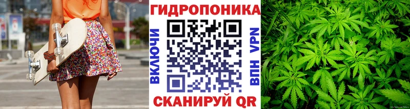 Марихуана семена  купить наркоту  Закаменск 